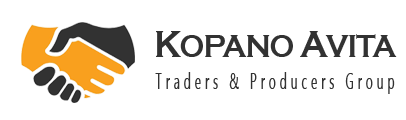 کفش آویتا